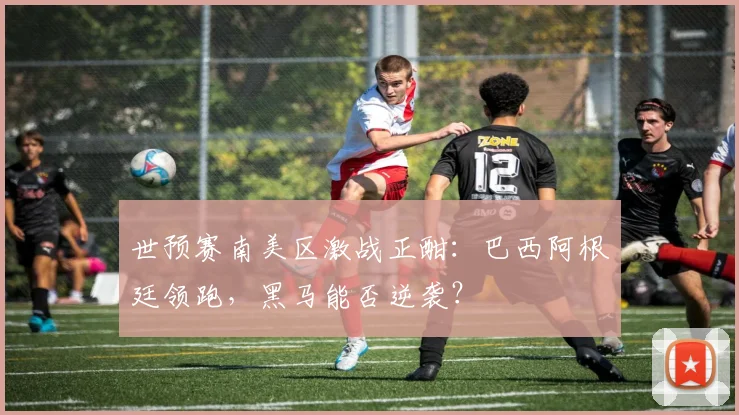 世预赛南美区激战正酣：巴西阿根廷领跑，黑马能否逆袭？