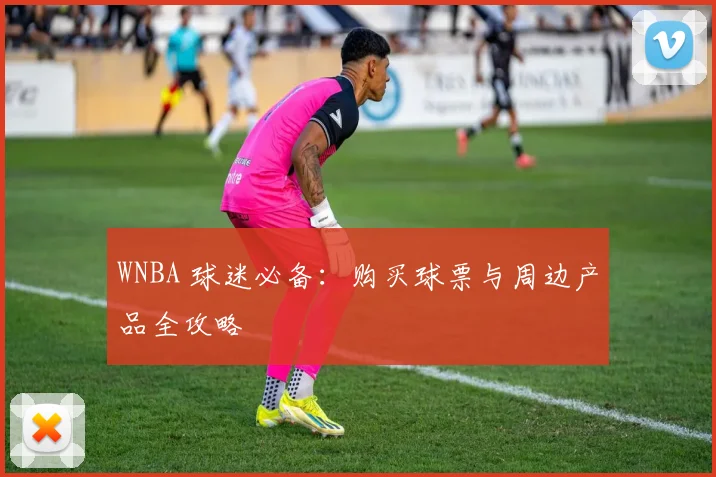WNBA 球迷必备：购买球票与周边产品全攻略