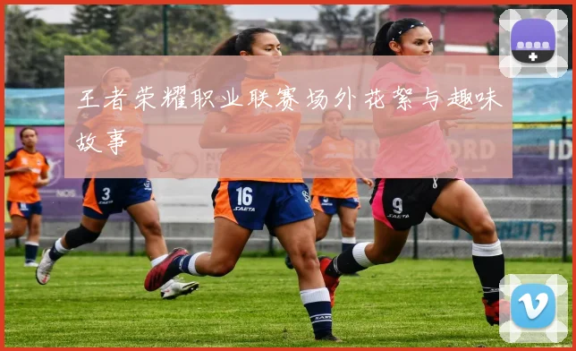 王者荣耀职业联赛场外花絮与趣味故事